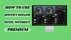 ¿Cómo se usa Spotify sin conexión con o sin Premium?